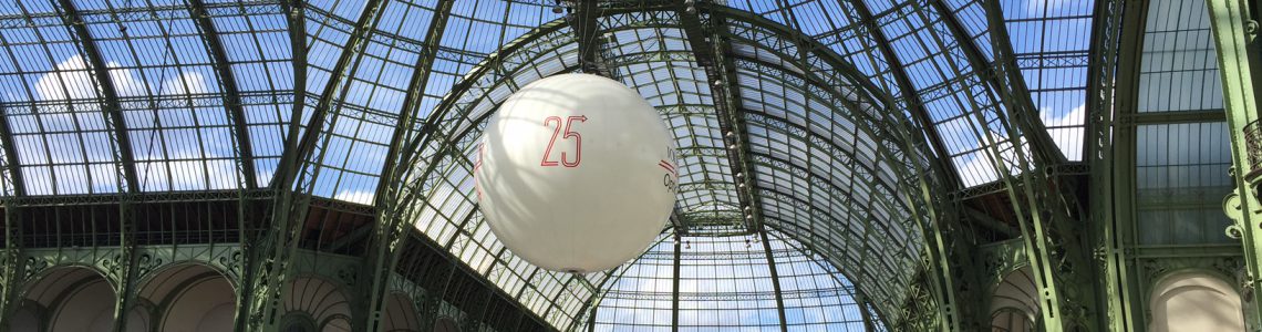 Michel Vaillant Art Strips Grand Palais Paris 3